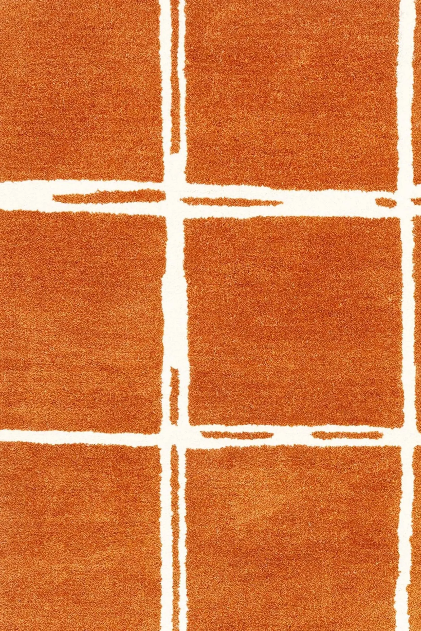 Albany Rug*Asiatic Rugs New