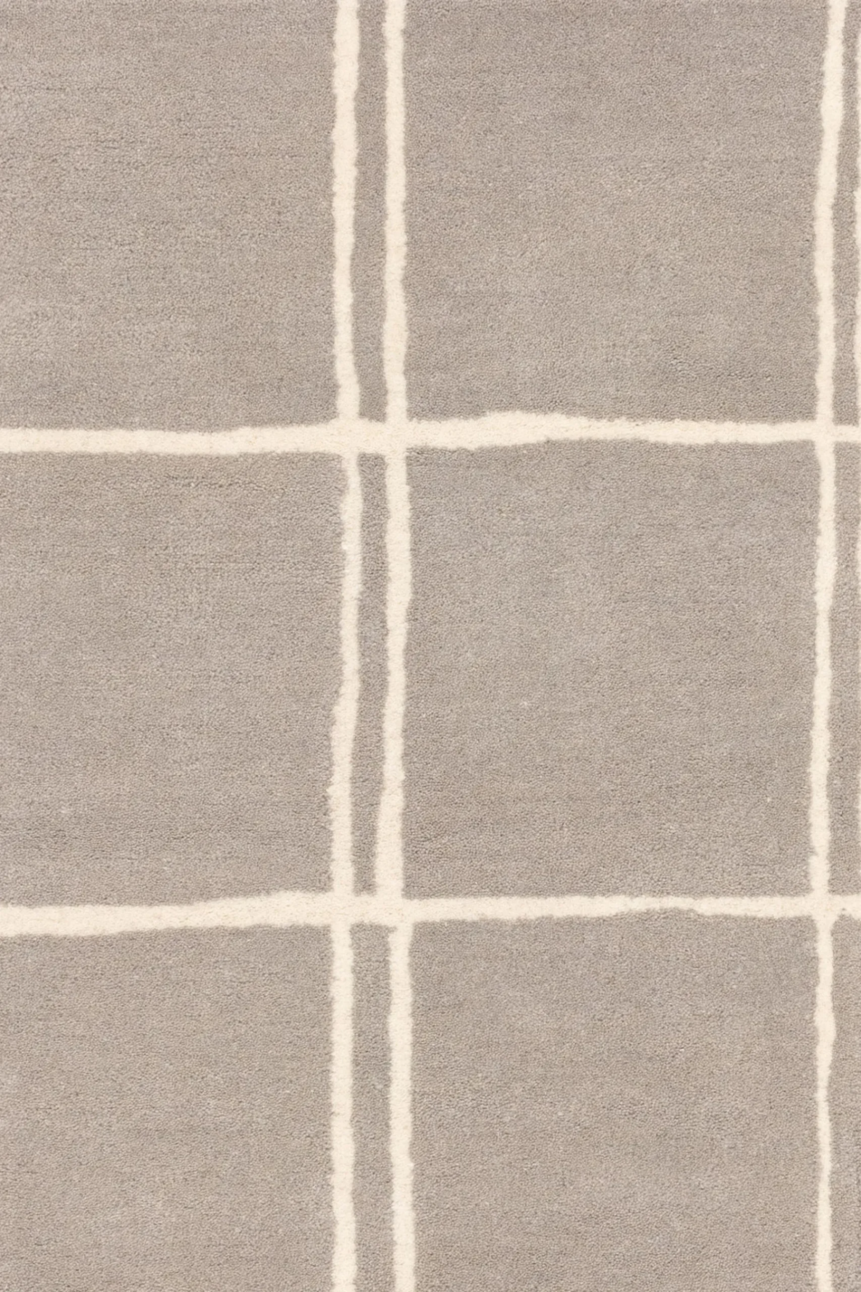 Albany Rug*Asiatic Rugs New