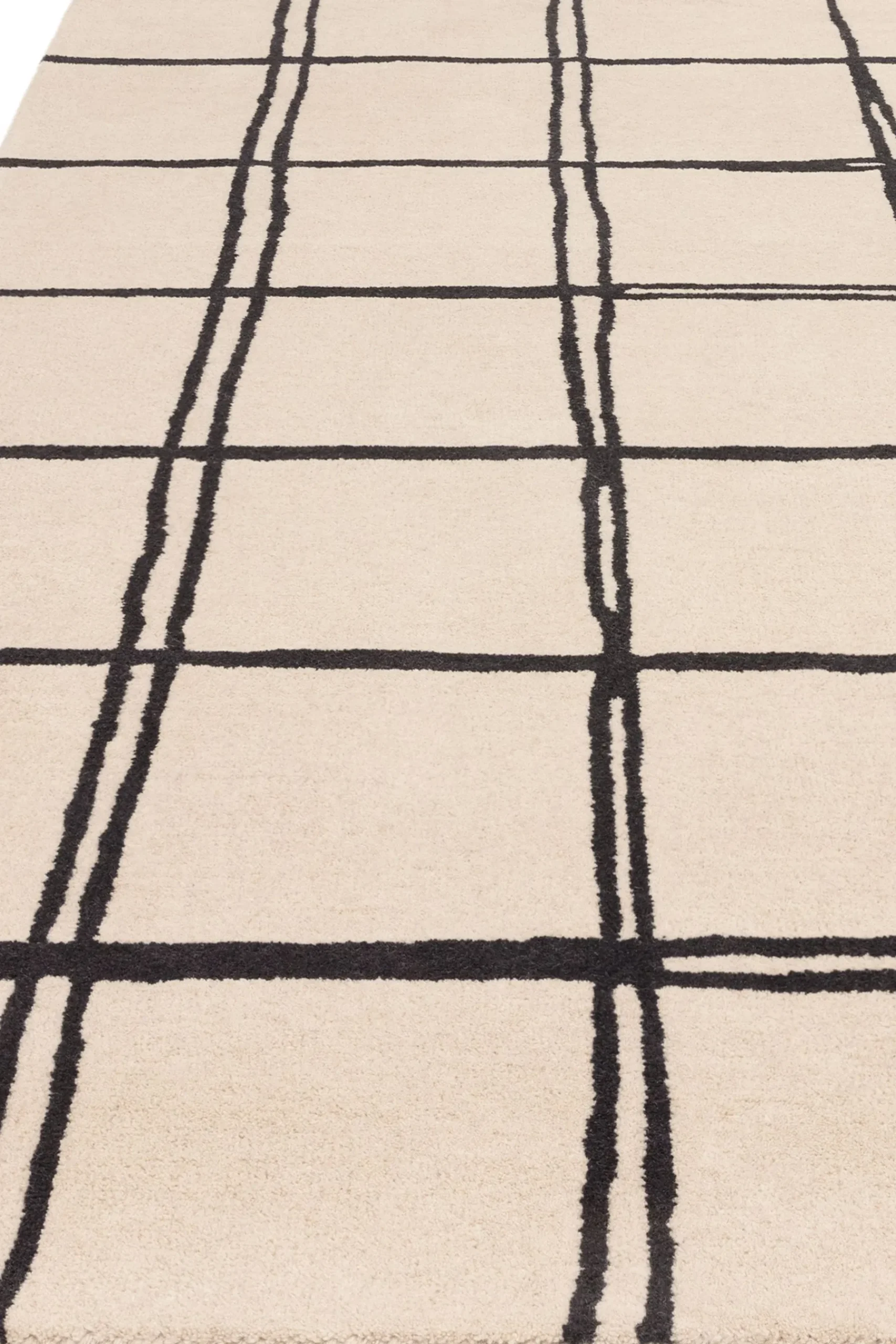 Albany Rug*Asiatic Rugs New