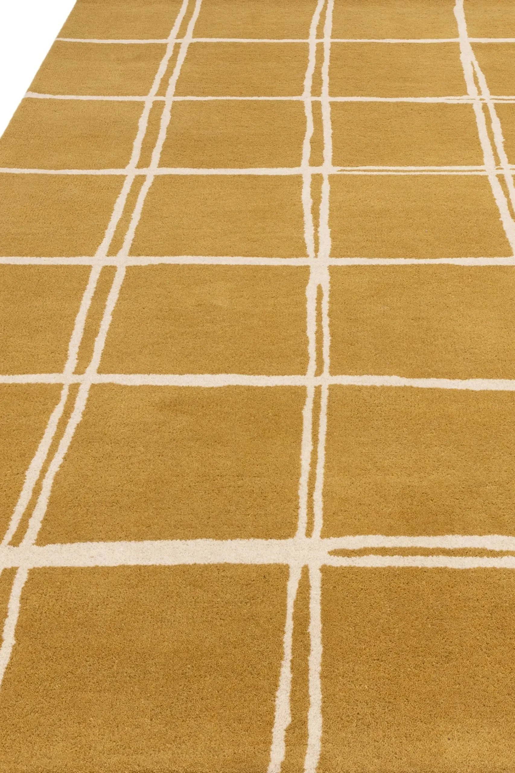 Albany Rug*Asiatic Rugs New
