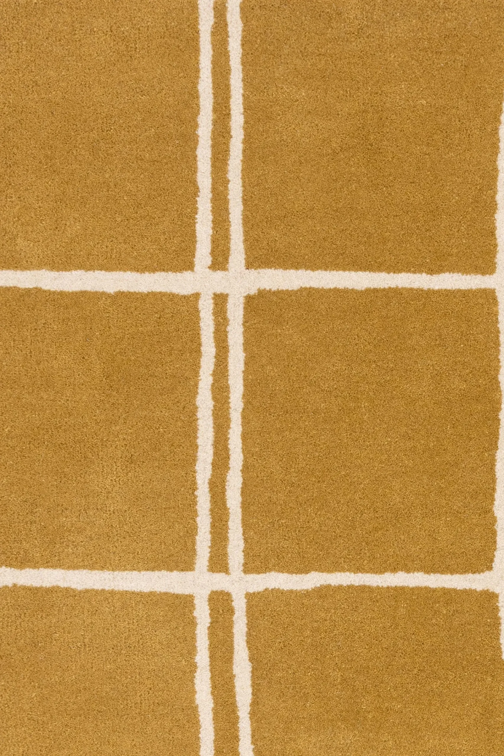 Albany Rug*Asiatic Rugs New