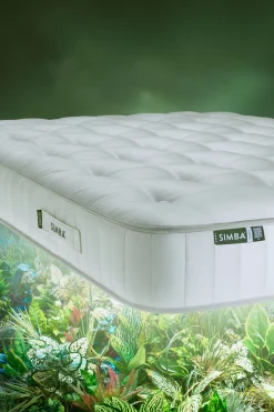 Earth Source Mattress*Simba New